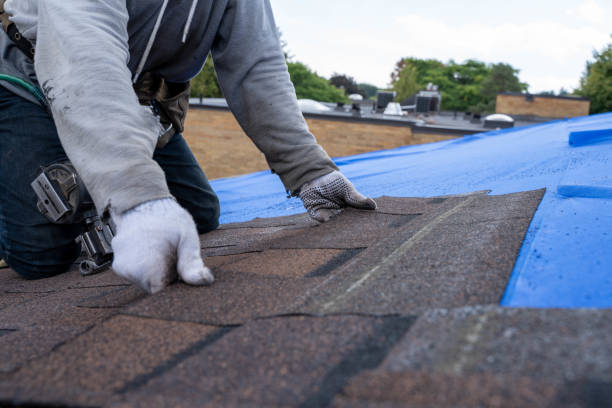 Best Roof Gutter Cleaning  in Garrison, TX