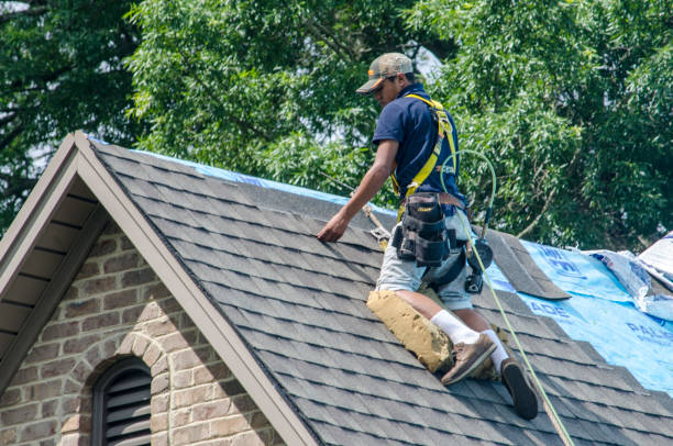Best Shingle Roofing Installation  in Garrison, TX